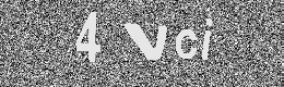 Verification image