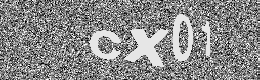 Verification image