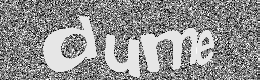 Verification image