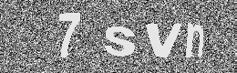 Verification image
