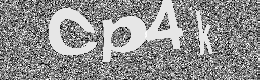 Verification image