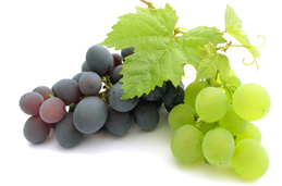 Напояване на лозя